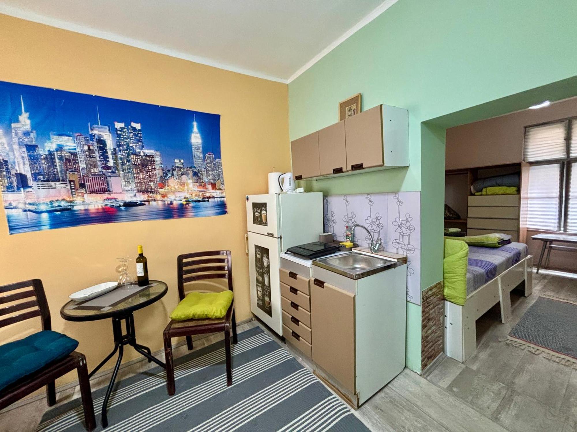Vracar Affordable Suites - Vracar Povoljni Stanovi Βελιγράδι Εξωτερικό φωτογραφία